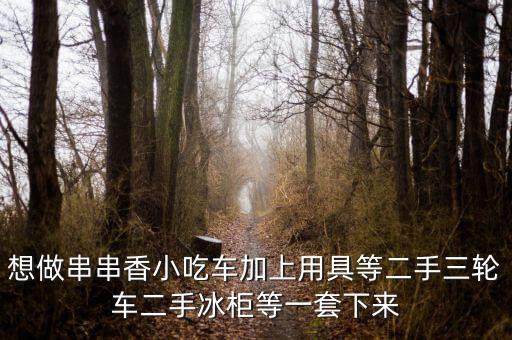 想做串串香小吃车加上用具等二手三轮车二手冰柜等一套下来