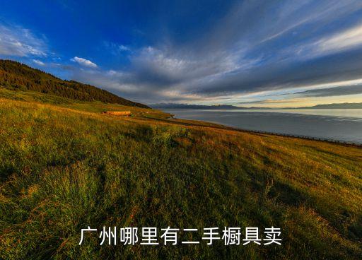 二手厨具出售，我厨柜有多余的厨具想丢弃或出售请问怎出售或卖出