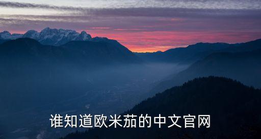 谁知道欧米茄的中文官网