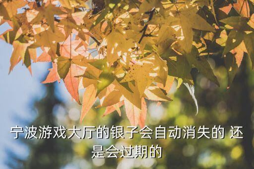 宁波游戏大厅的银子会自动消失的 还是会过期的