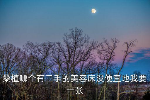 桑植哪个有二手的美容床没便宜地我要一张