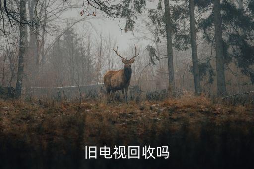 旧电视回收吗