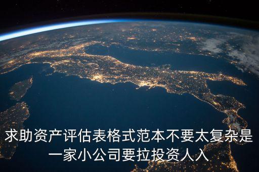 求助资产评估表格式范本不要太复杂是一家小公司要拉投资人入