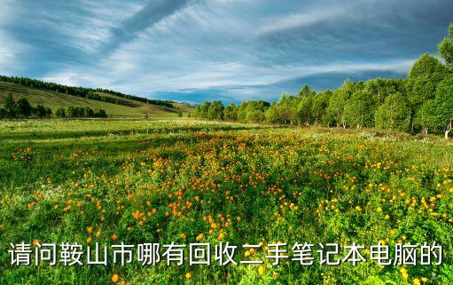 请问鞍山市哪有回收二手笔记本电脑的
