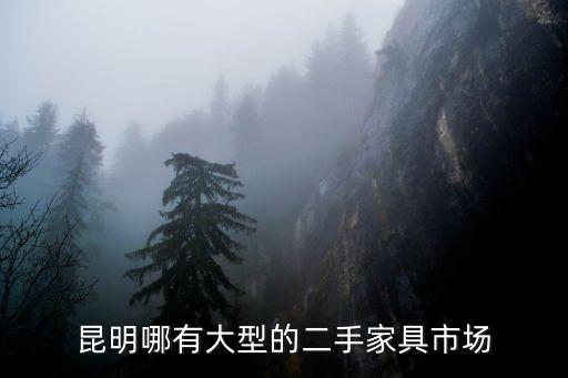 昆明哪有大型的二手家具市场