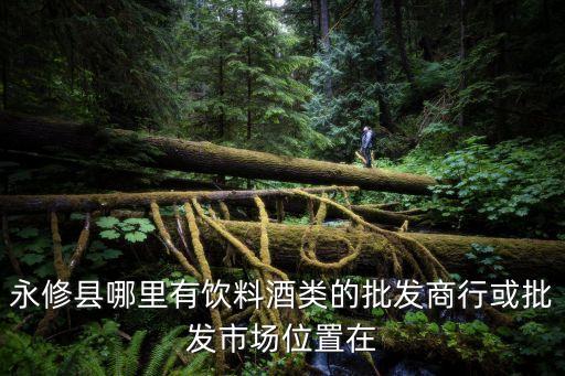 永修县哪里有饮料酒类的批发商行或批发市场位置在