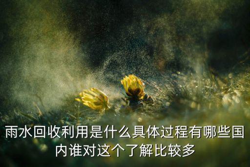 雨水回收利用是什么具体过程有哪些国内谁对这个了解比较多