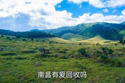 南昌有爱回收吗