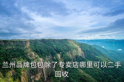 回收包包的平台，有没有做二手名包回收的奢侈品店