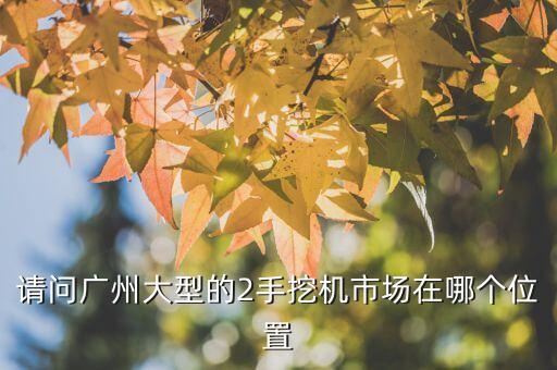 请问广州大型的2手挖机市场在哪个位置