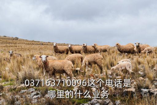 037163710096这个电话是哪里的什么业务