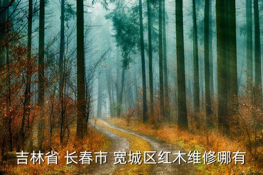吉林省 长春市 宽城区红木维修哪有