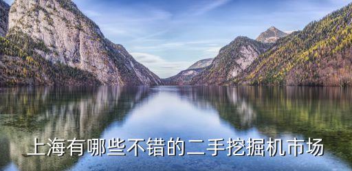 上海有哪些不错的二手挖掘机市场