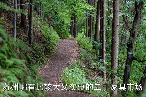 苏州哪有比较大又实惠的二手家具市场