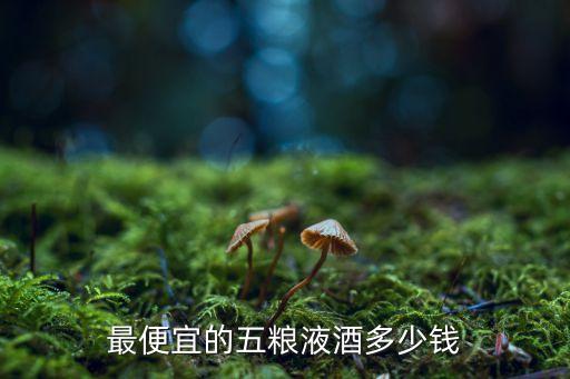 最便宜的五粮液酒多少钱