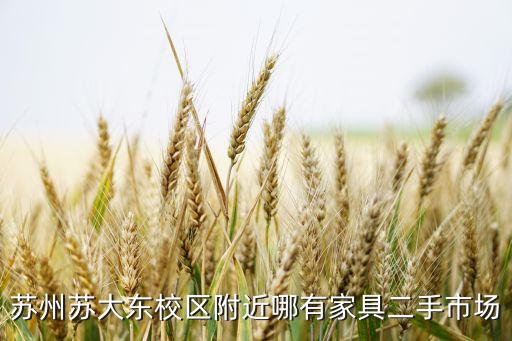 苏州苏大东校区附近哪有家具二手市场