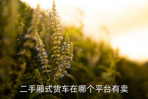 同城二手货车交易平台，卖货车上什么网站卖