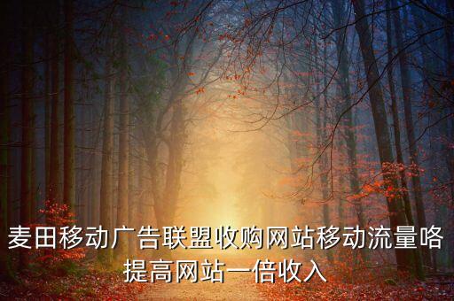 麦田移动广告联盟收购网站移动流量咯提高网站一倍收入