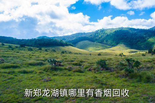 新郑龙湖镇哪里有香烟回收