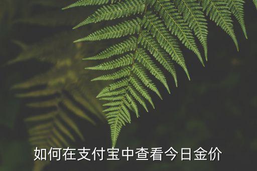 如何在支付宝中查看今日金价