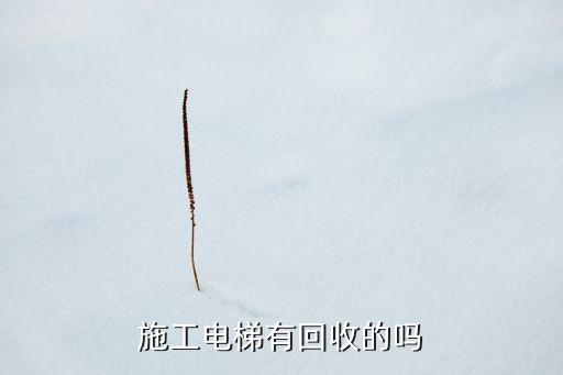 施工电梯有回收的吗