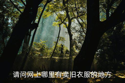 旧衣服交易网，哪个网站出售旧衣物比较方便