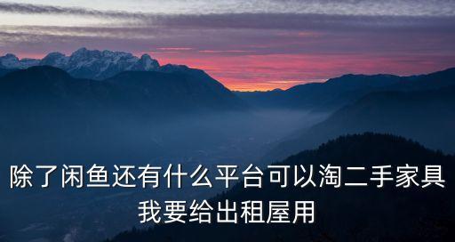 除了闲鱼还有什么平台可以淘二手家具我要给出租屋用