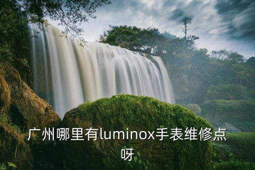 广州哪里有luminox手表维修点呀