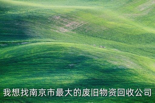 我想找南京市最大的废旧物资回收公司