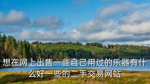 想在网上出售一些自己用过的乐器有什么好一些的二手交易网站
