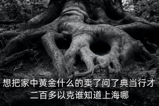 卖黄金去哪里卖价格高，想把家中黄金什么的卖了问了典当行才二百多以克谁知道上海哪