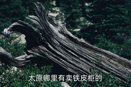 铁皮柜一般哪里有卖的，衡水哪里有卖铁皮柜的呀