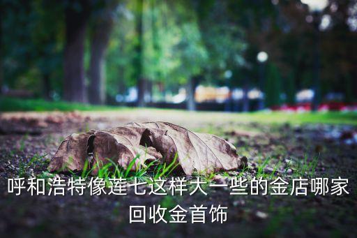呼和浩特像莲七这样大一些的金店哪家回收金首饰