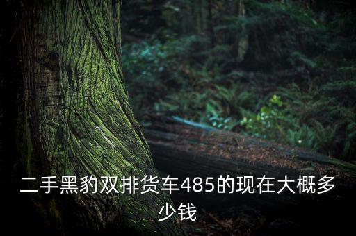 二手柴油双排座小货车，二手黑豹双排货车485的现在大概多少钱