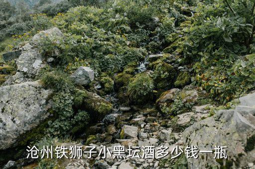 沧州铁狮子小黑坛酒多少钱一瓶