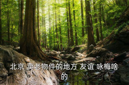 北京 卖老物件的地方 友谊 咏梅啥的