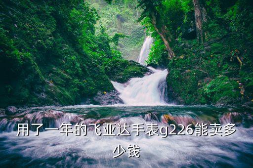 用了一年的飞亚达手表g226能卖多少钱
