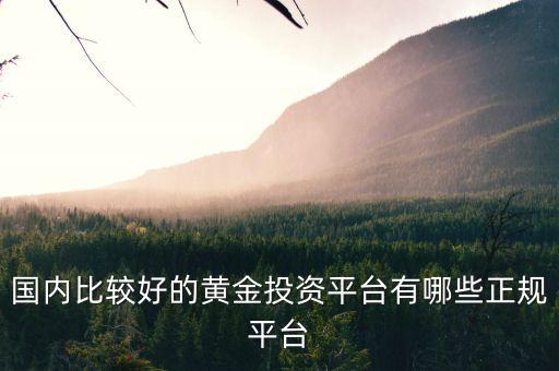 黄金买涨买跌交易平台有哪些，黄金交易平台哪个好