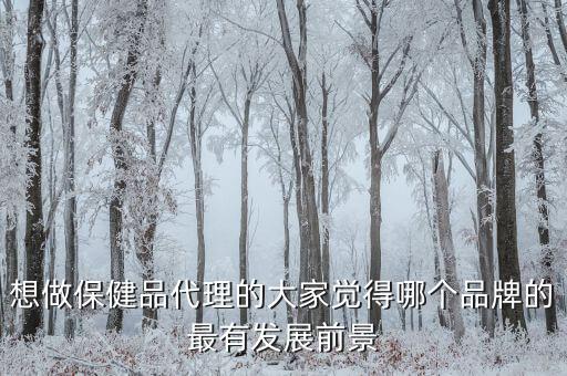 想做保健品代理的大家觉得哪个品牌的最有发展前景