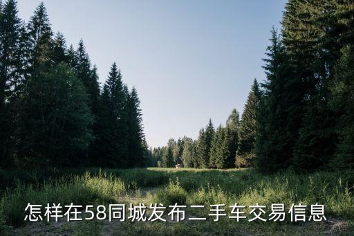 怎样在58同城发布二手车交易信息