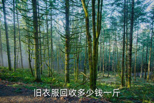 旧衣服回收多少钱一斤