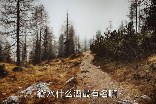 衡水什么酒最有名啊