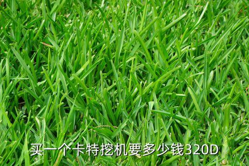 买一个卡特挖机要多少钱320D