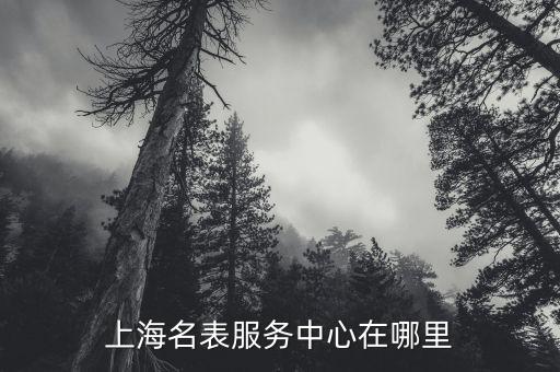 上海名表服务中心在哪里