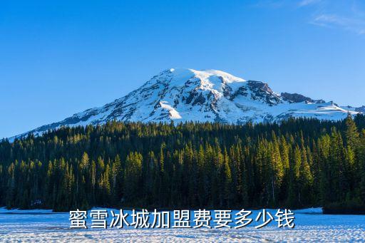 蜜雪加盟一般多少钱，蜜雪冰城加盟费要多少钱