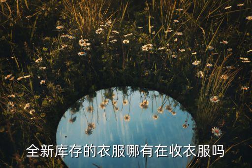全新库存的衣服哪有在收衣服吗