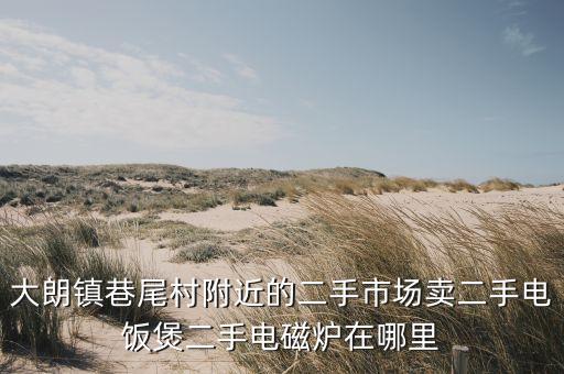 大朗镇巷尾村附近的二手市场卖二手电饭煲二手电磁炉在哪里