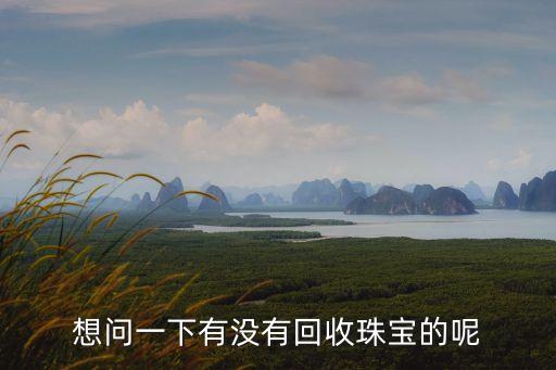 想问一下有没有回收珠宝的呢