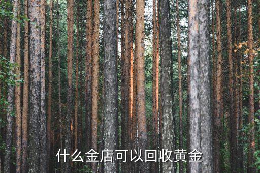 什么金店可以回收黄金