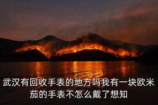 武汉有回收手表的地方吗我有一块欧米茄的手表不怎么戴了想知